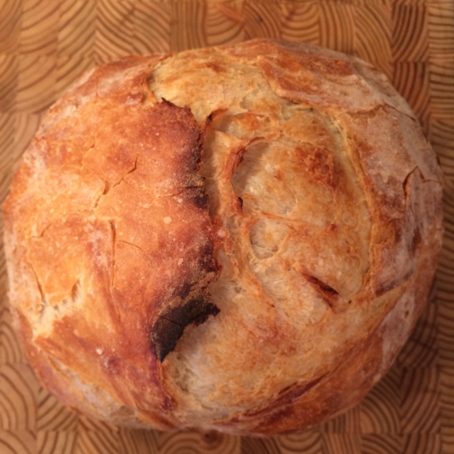 The Best No-Knead Crusty Bread